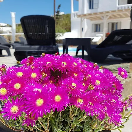 Guest house Varnali Small Boutique Mykonos Town