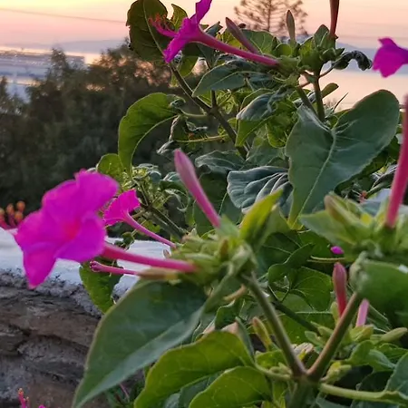 Varnali Small Boutique Guest house Mykonos Town